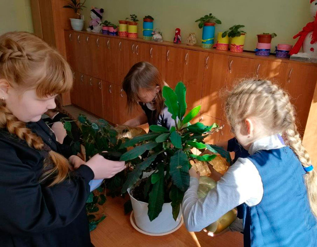 Всероссийский «День Эколят»