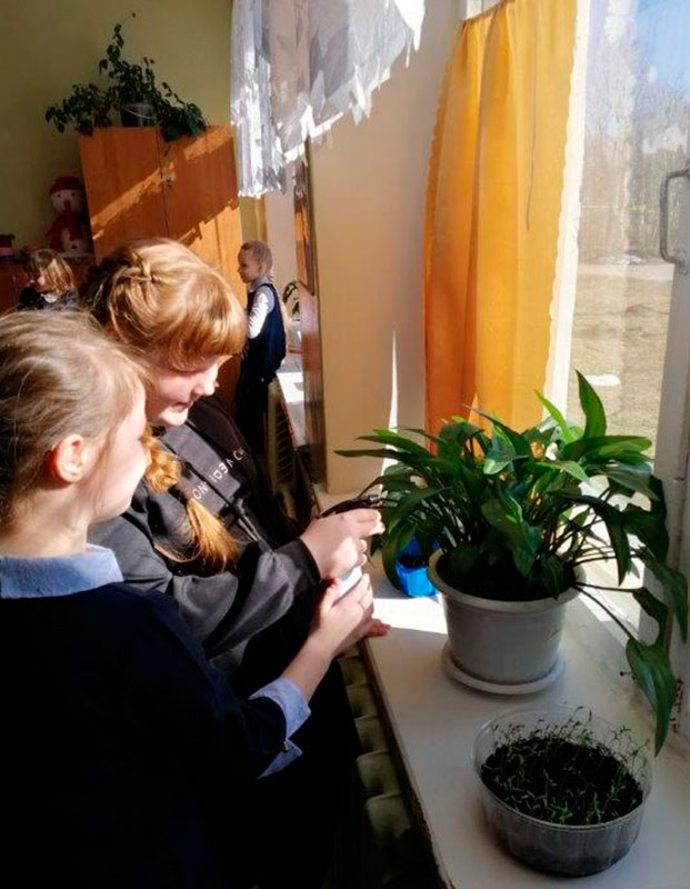 Всероссийский «День Эколят»