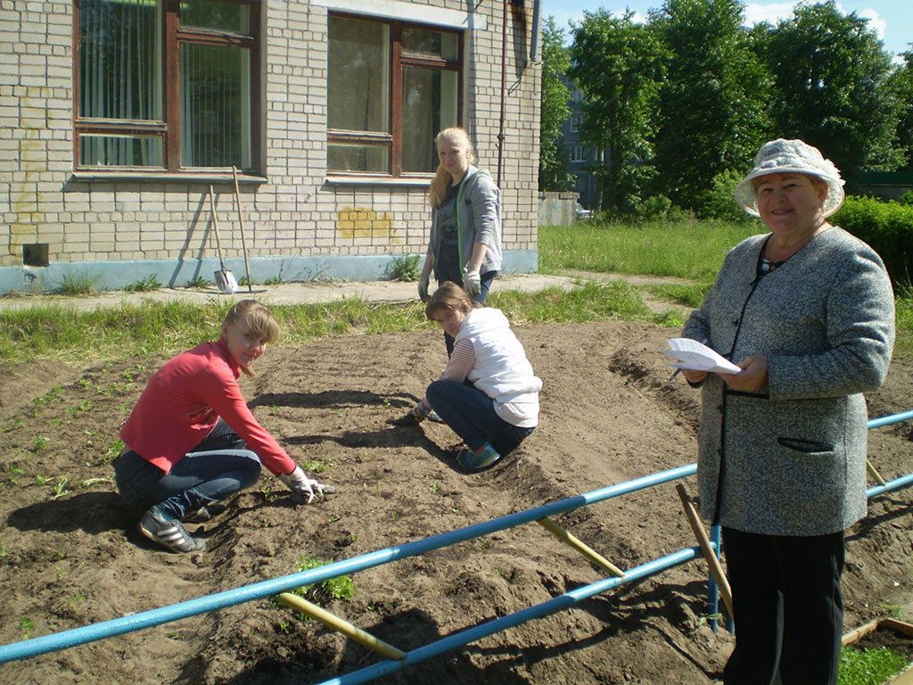 Трудовой отряд в действии