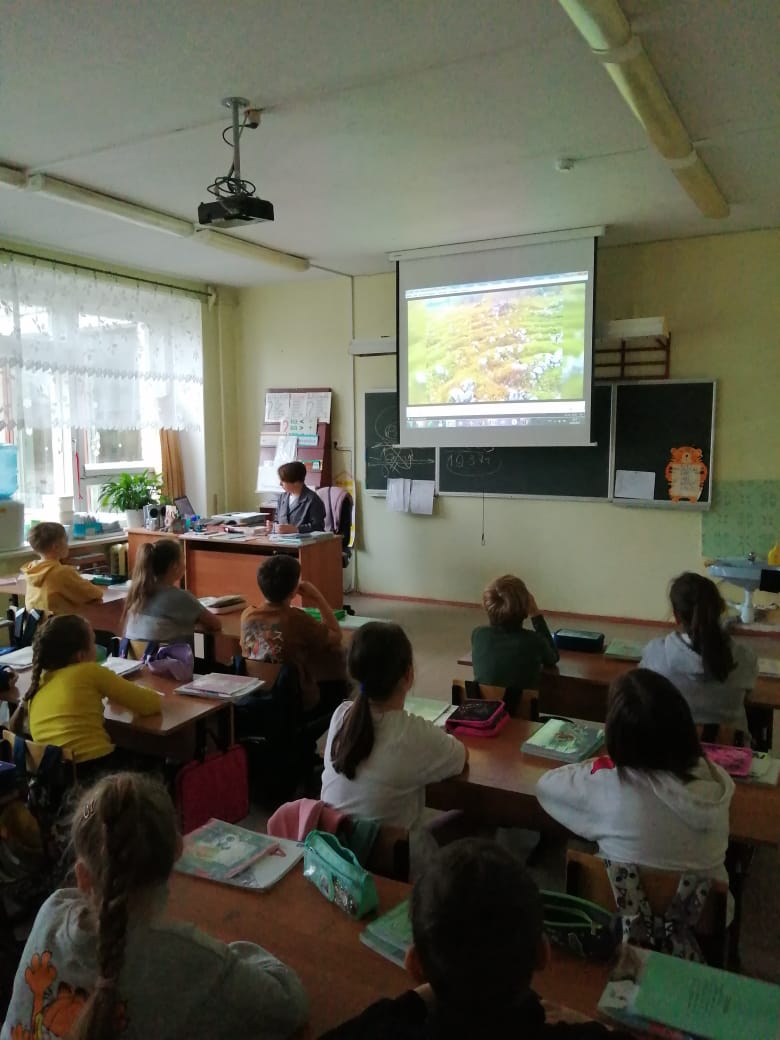 Классный час, посвященный родному краю