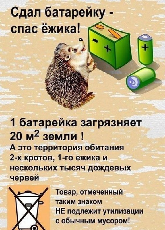 Сдал батарейку - спас ежика!