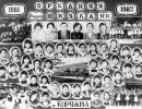 1982g