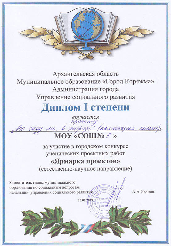 Диплом ярмарки проектов-2019